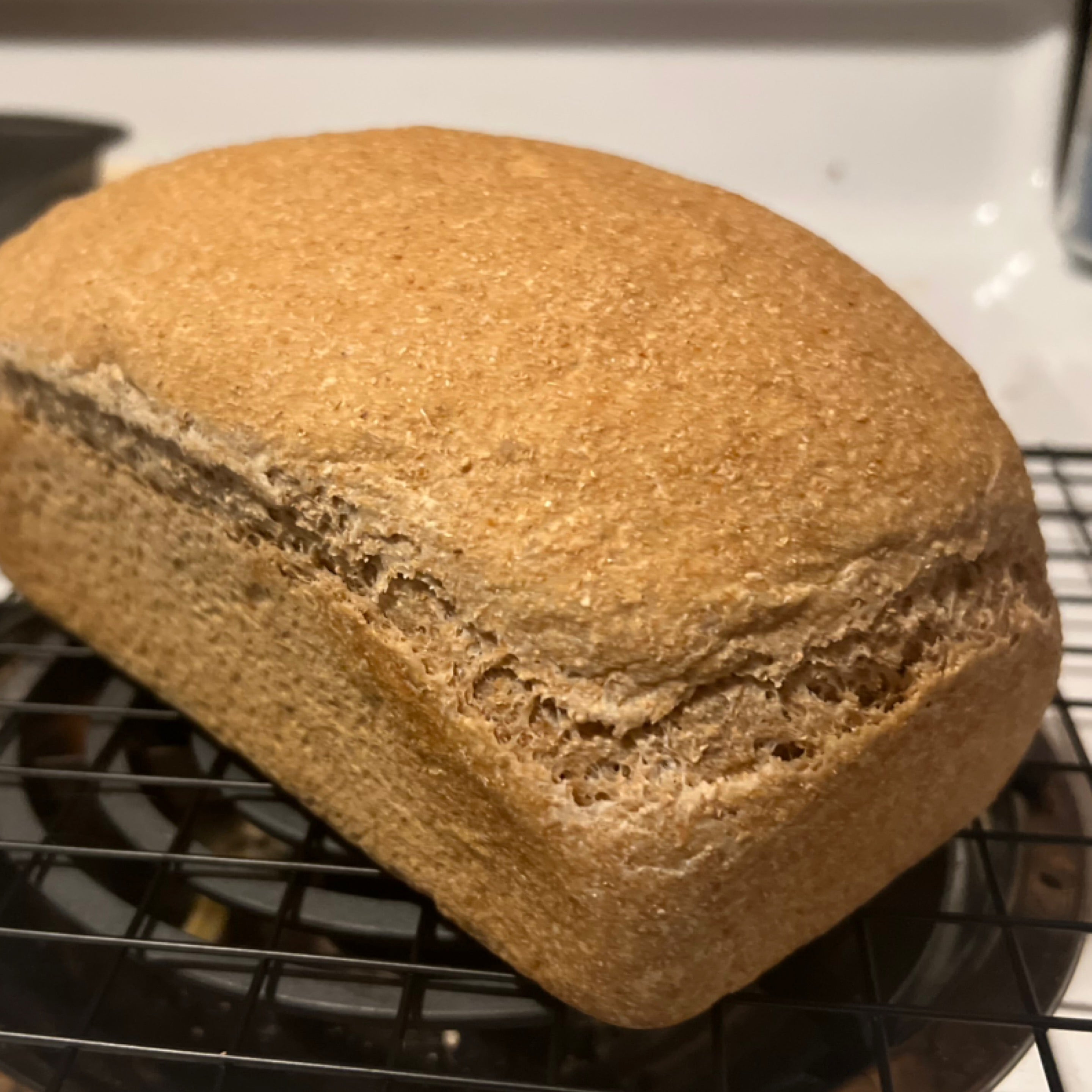 100% Wheat Bread