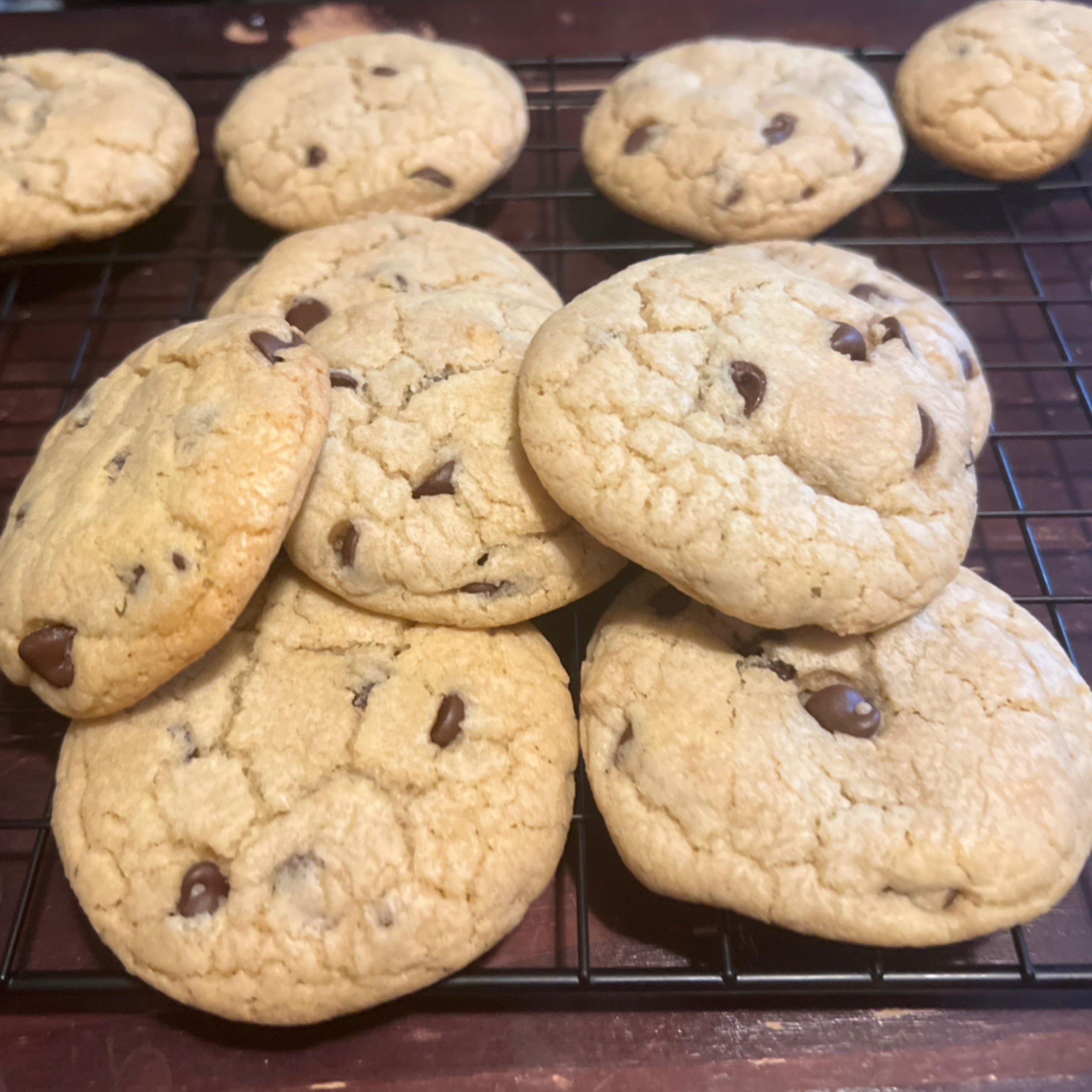 Chocolate Chip Cookie